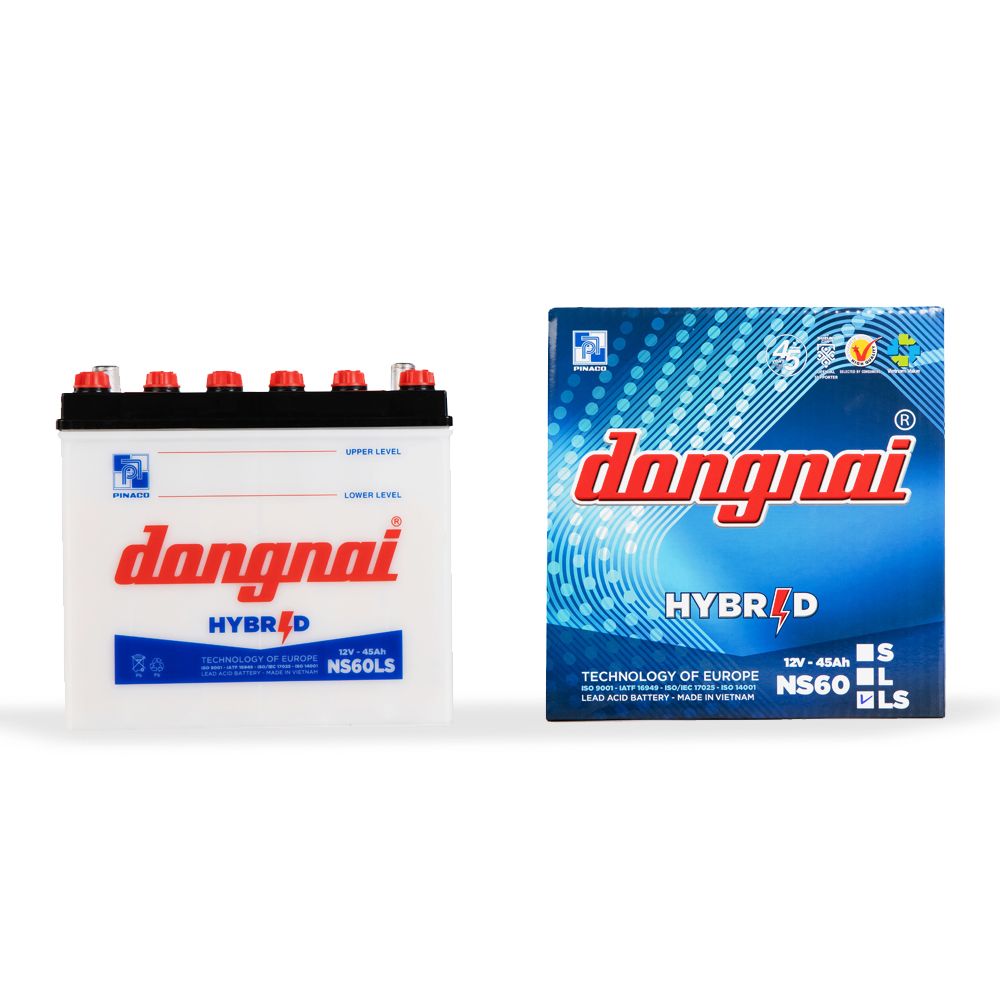 Ắc quy Hybrid Đồng Nai NS60LS - 12V - 45Ah4