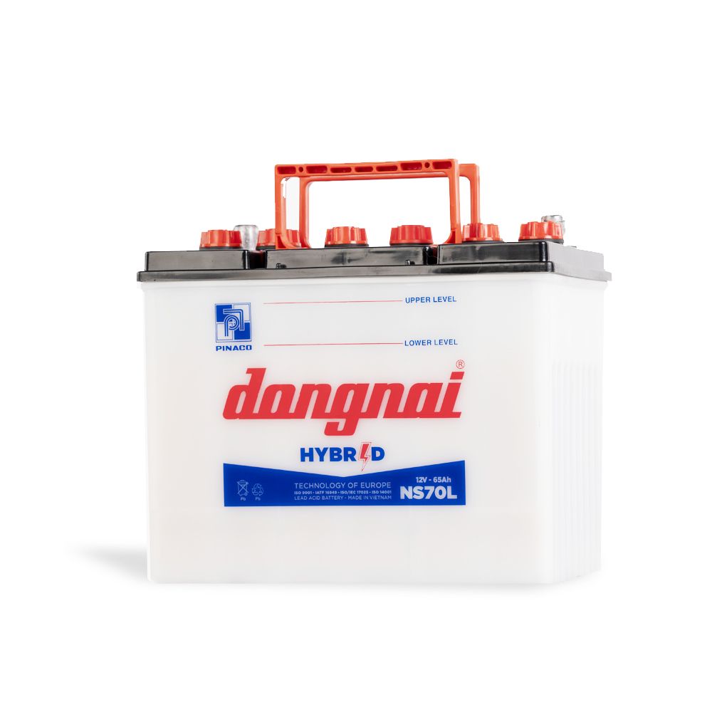 Ắc quy Hybrid Đồng Nai NS70L - 12V - 65Ah1