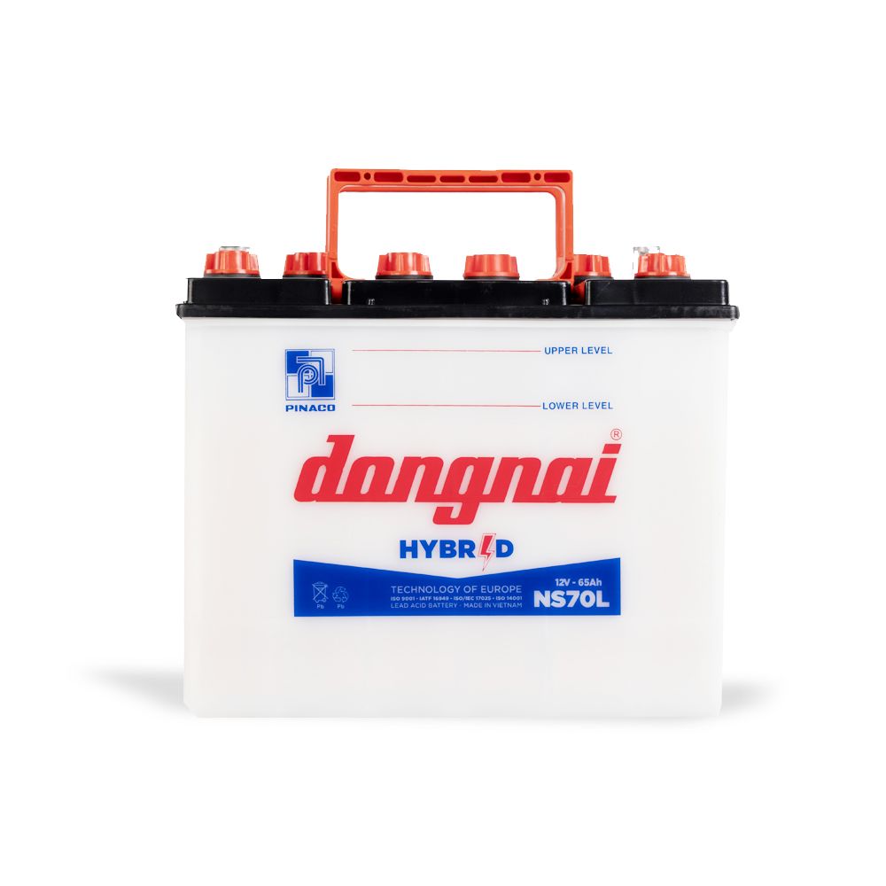 Ắc quy Hybrid Đồng Nai NS70L - 12V - 65Ah2