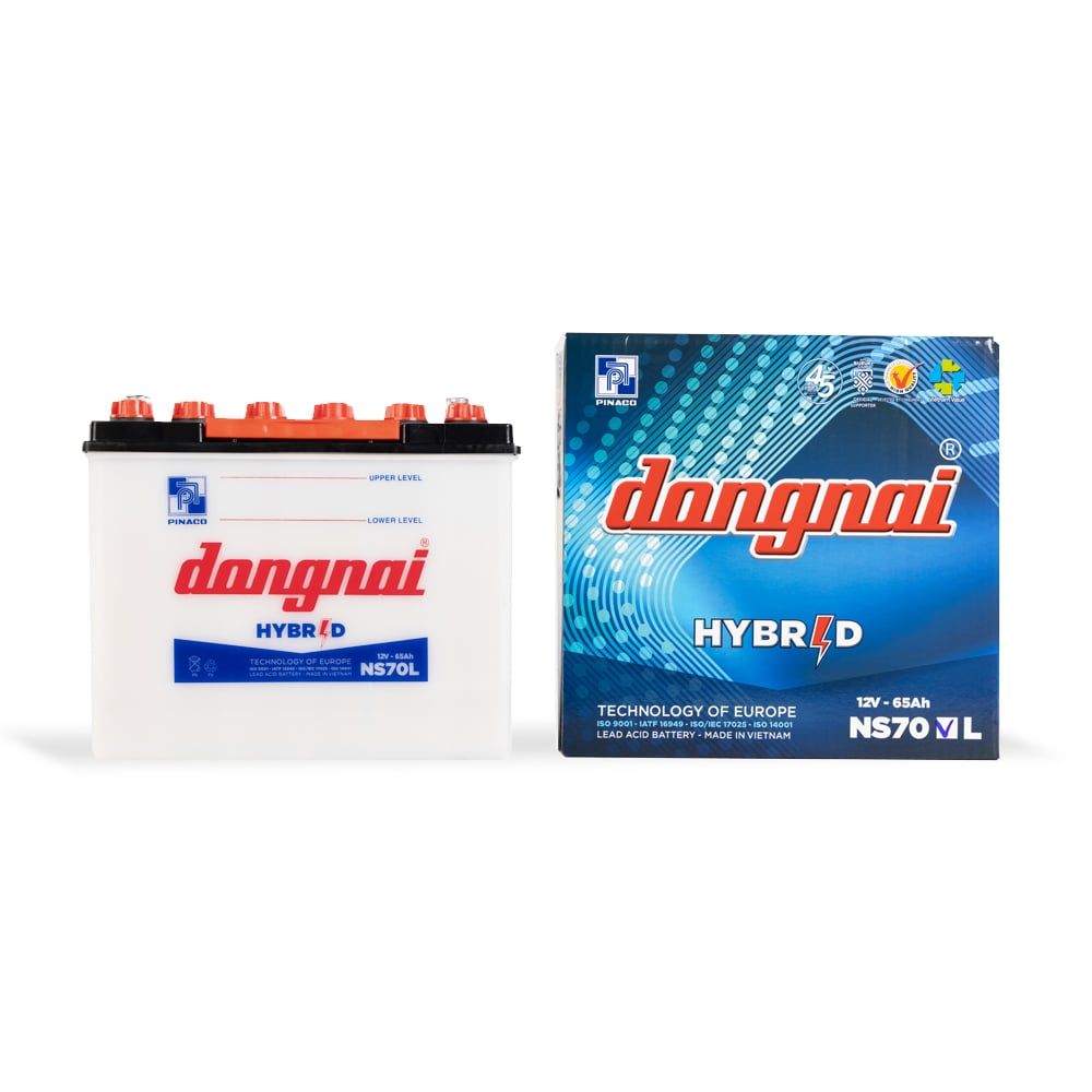 Ắc quy Hybrid Đồng Nai NS70L - 12V - 65Ah3