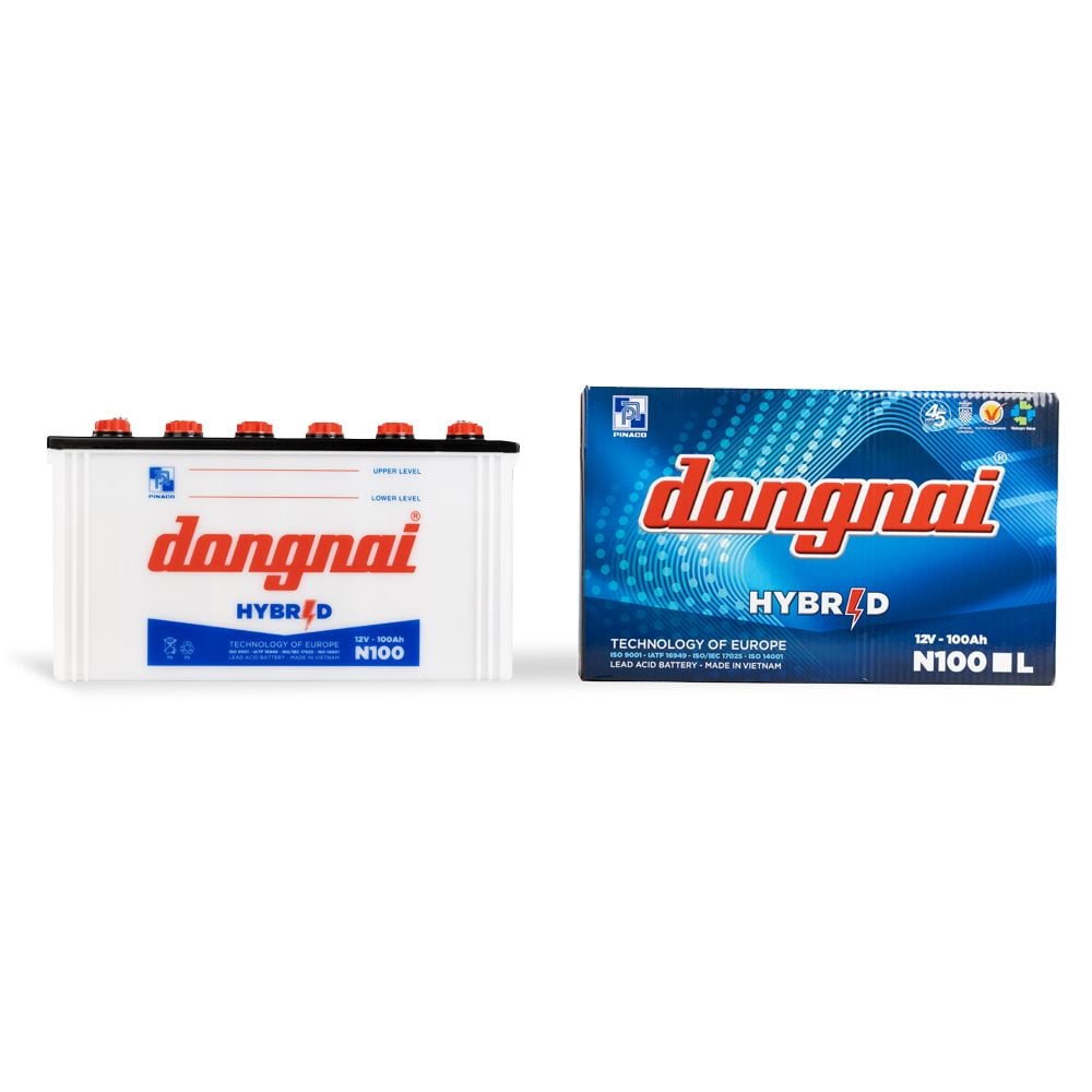 Đồng Nai N100 - 12V - 100Ah3