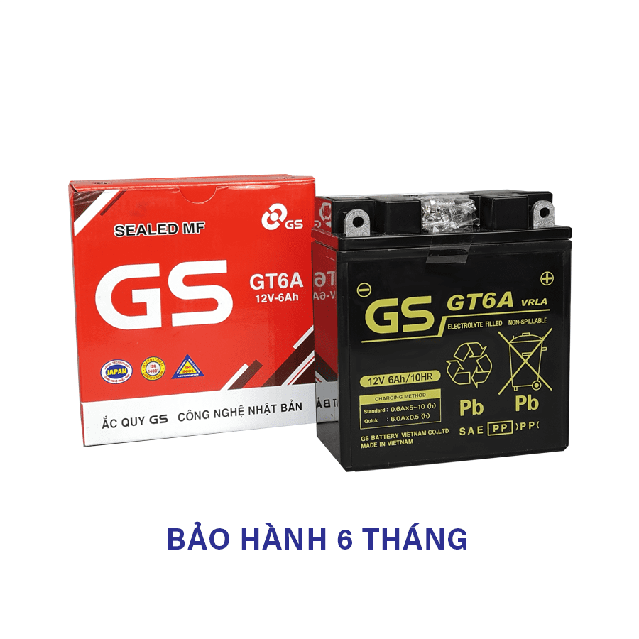ac-quy-xe-may-12v-6ah-gs-gtz6a-05